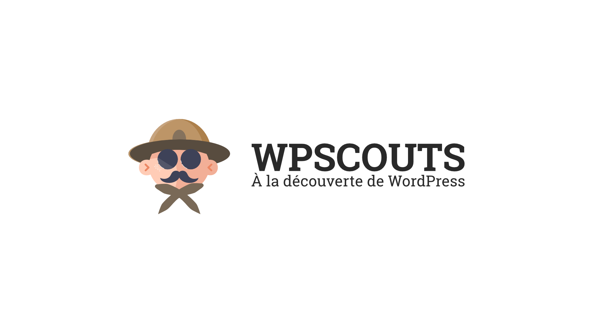 (c) Wpscouts.com